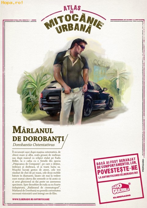 Diverse - Marlanul de Dorobanti