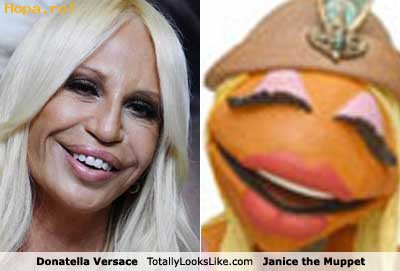 Celebritati - Asemanare: Donatella Versace si Jessica the Muppet