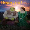 Avatare - Shrek si Fiona