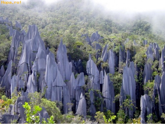 Peisaje - Stanci pe insula Borneo