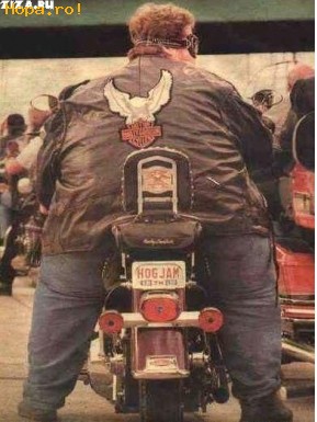 Auto Moto - BIG biker 