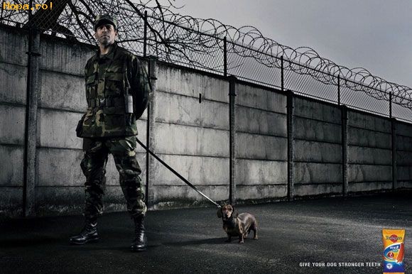 Reclame - Pedigree - caine militar