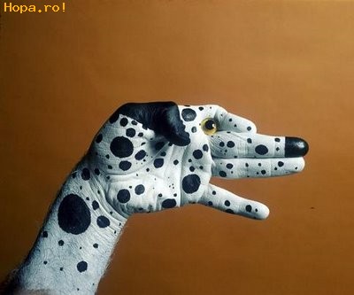 Artistice - Dalmatian