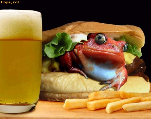 Ciudate - Frog Burger