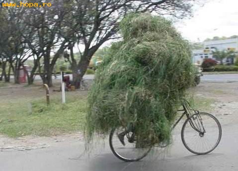 Diverse - Cum sa cari iarba cu bicicleta