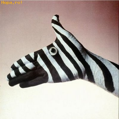 Artistice - Zebra