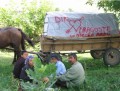 Din Romania - Caravana din dragoste