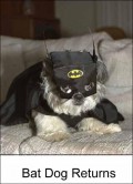 Animale - Bat Dog