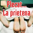 Avatare - Plecat la prietena